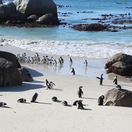 Boulders Beach House Simonʼs Town Esterno foto